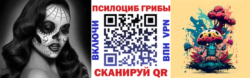 Псилоцибиновые грибы GOLDEN TEACHER  Купить закладки  Добрянка 